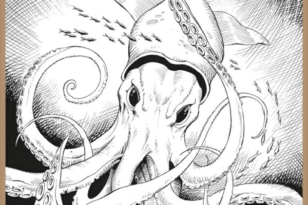 Kraken гидра